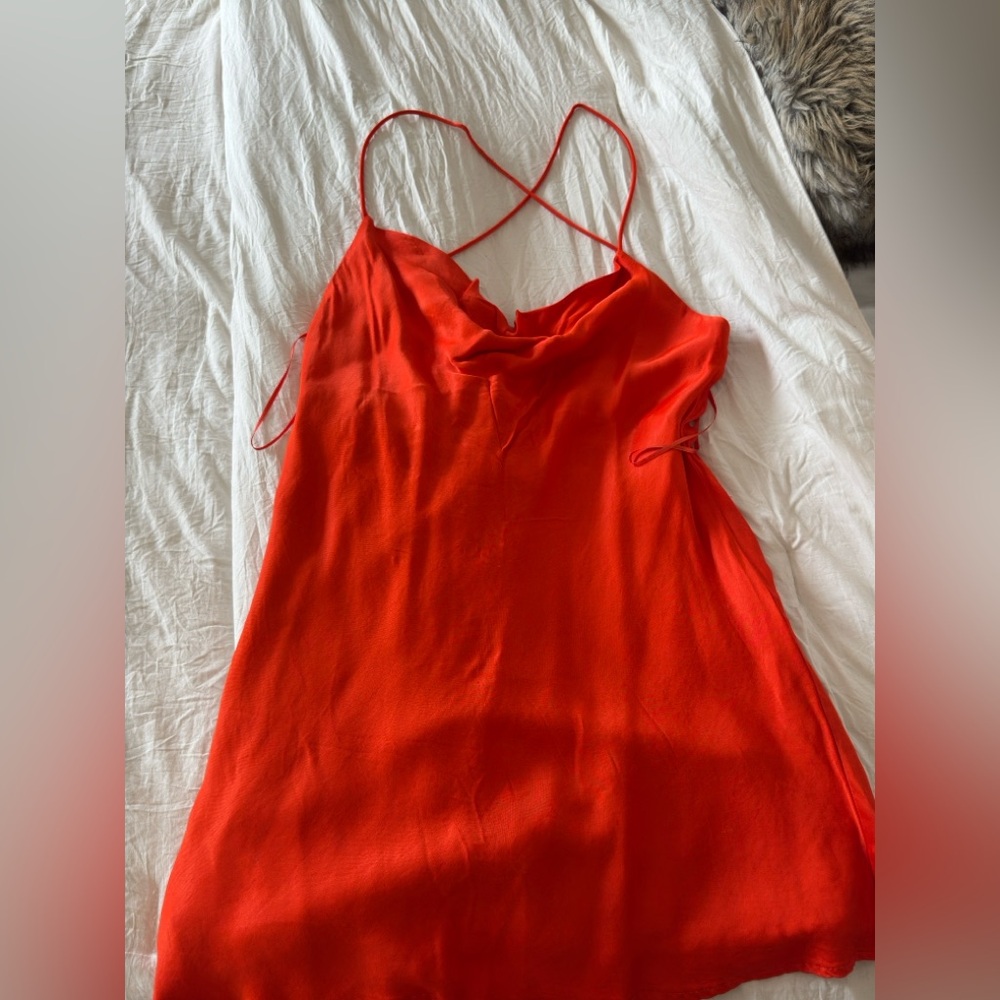 Zara cowl neck and low back dress